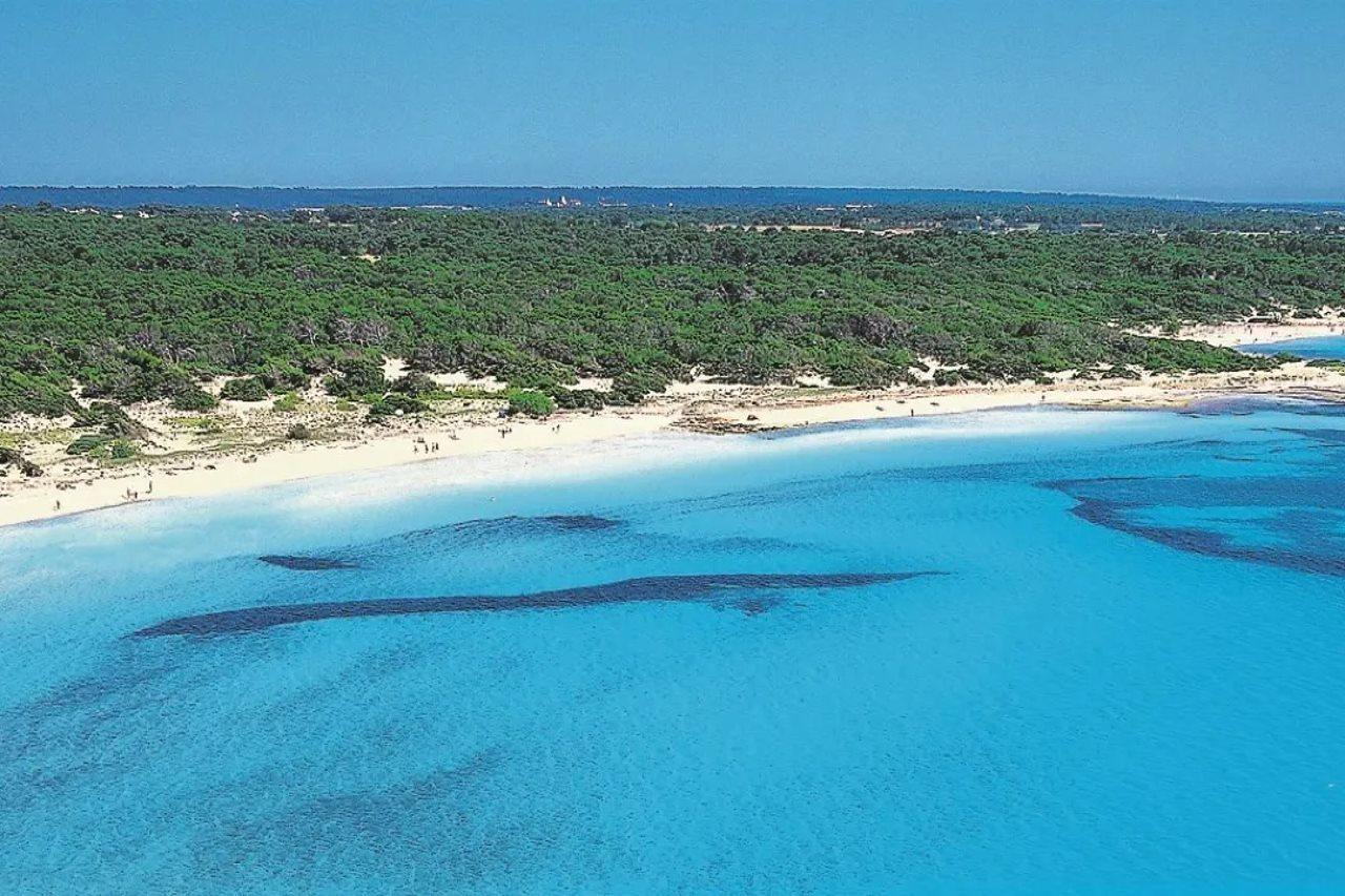 Готель Es Trenc Colonia de Sant Jordi Екстер'єр фото